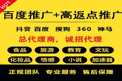 成功案例：SEM竞价托管的策略与效果